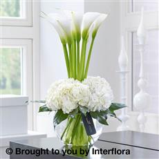 Luxury Calla Lily &amp; Hydrangea Vase