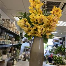 Tall Cymbidium Orchid vase 