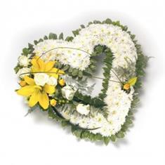White and Yellow Open Heart