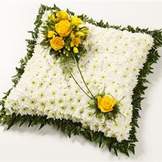 White Cushion Tribute