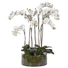 XLarge White Orchid Planter