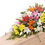 Lily Casket Spray - Mixed Colours 6ft