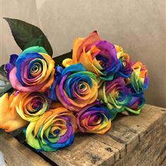 10 Rainbow Roses 