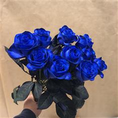 10 Blue Roses 