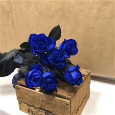 6 Blue Roses in a vase 