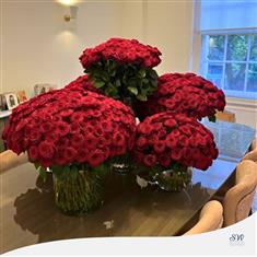 1000 Red Roses in 7 Vases
