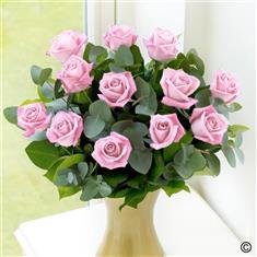 12 Pink Roses