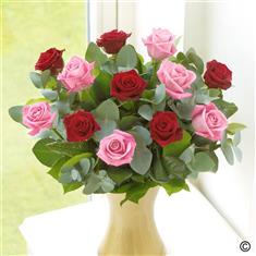 12 Red and Pink Roses