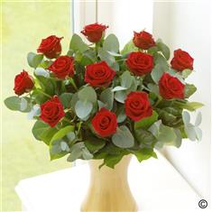 12 Red Roses