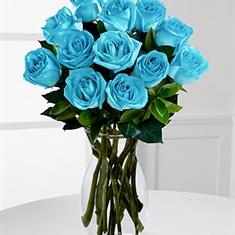 12 Turquoise Blue Roses