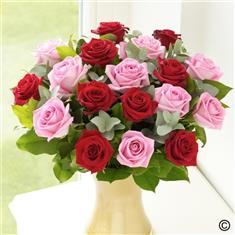 18 Pink and Red Roses 