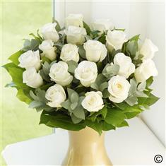 18 White Roses