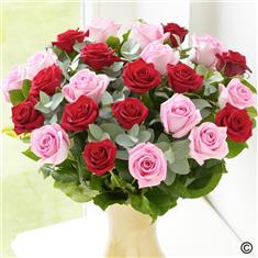 24 Red and Pink Roses