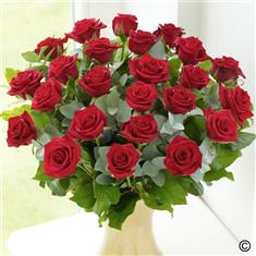 24 Red Roses