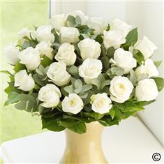 24 White Roses