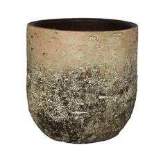 Albero Rustic Planter Standard