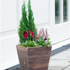 Autumn Breeze Outdoor Planter