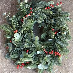 Blue Pine with Euco and Ilex 