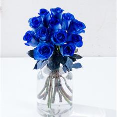 Blue Rose Dozen 