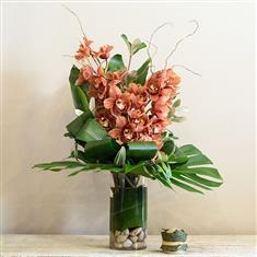 Bronze Cymbidium Orchid Vase Arrangement