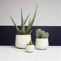 Como Ivory Plant Pot Large