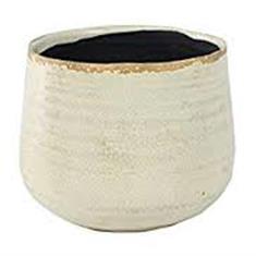 Como Ivory Standard Pot