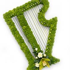 Irish Harp Tribute