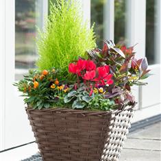 Large Autumn Outdoor Planter