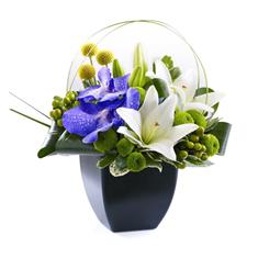 Lily and Vanda Orchid Arrangement 