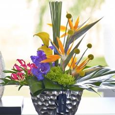 Luxury Tropical Strelitzia Arrangement