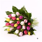 Mixed Tulip Sheaf