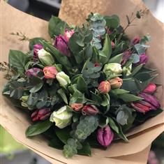 Parrot Tulip Hand Tied