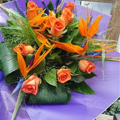 Strelitzia and Roses