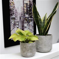 Tivoli Concrete Pot Standard