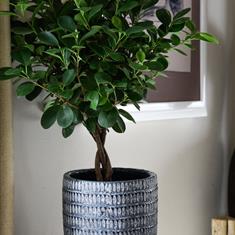 Treviso Denim Plant Pot Medium