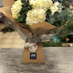 White Hydrangea Hand Tied 