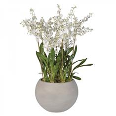 XL White Oncidium Orchid Planter 