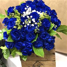 40 Blue Roses 