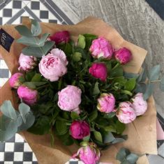 15 Pink Shade Peony Hand Tied 