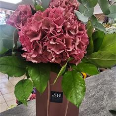 Dusky Pink Hydrangea Hand Tied