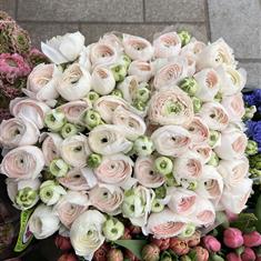 Hanoi Ranunculus Hand tied 