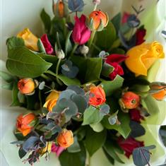 Ranunculus and Tulip Hand Tied 