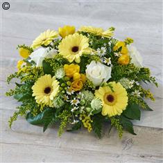 Scented Yellow Posy