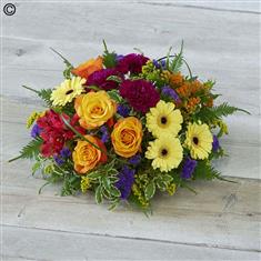 Bold Brights Posy Large