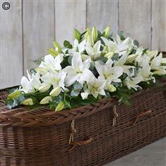 Lily Casket Spray White Large