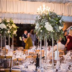 Large Circular Balls on stands 