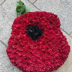 Poppy Flower Tribute 