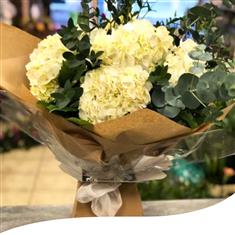 White Hydrangea Hand-Tied 