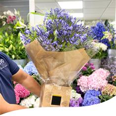 Agapanthus Bouquet