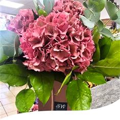 Dusky Pink Hydrangea Bouquet